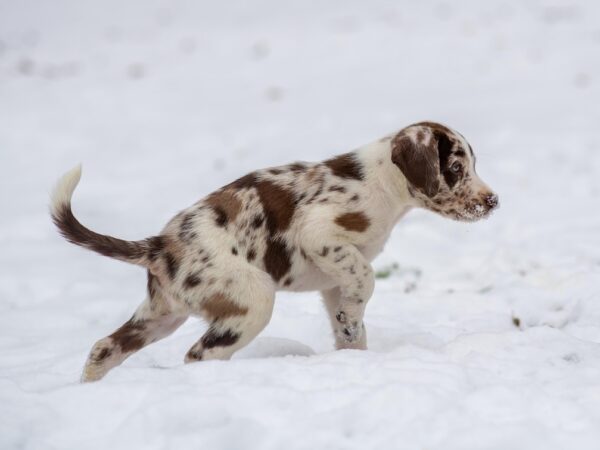 Новини культури - Гороскоп для всіх знаків зодіаку на 14 січня 2026 року