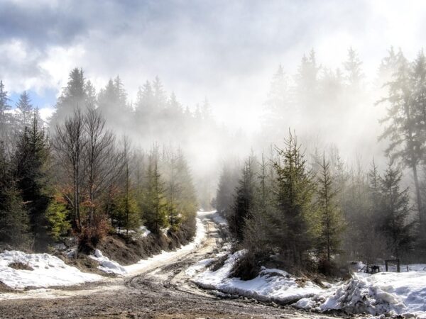 Новини культури - Гороскоп для всіх знаків зодіаку на 16 січня 2026 року