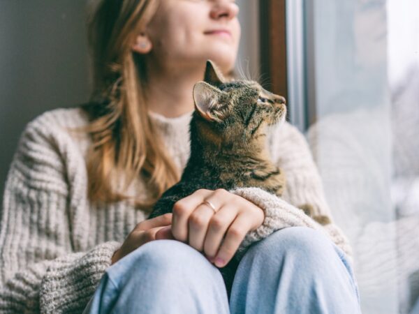 Новини України - Синоптики прогнозують в Україні морози до -14°