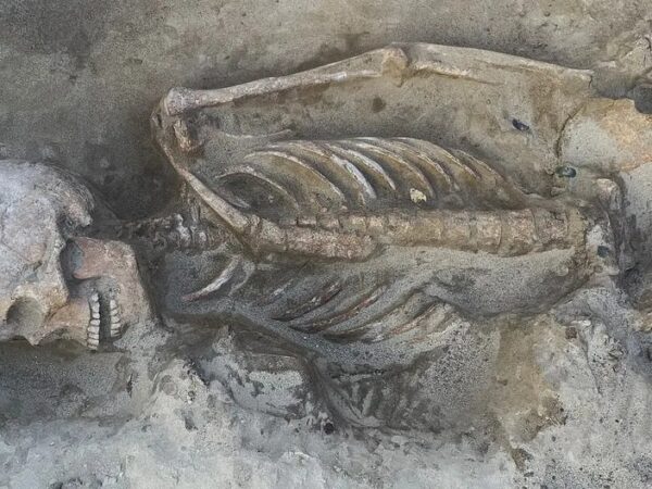 Технології - В Угорщині знайшли поховання трьох воїнів, які виявилися родичами